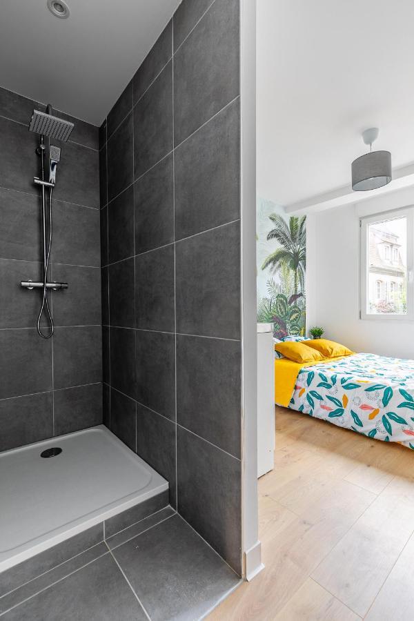 Appartement Strasbourg Centre / Krutneau Extérieur photo
